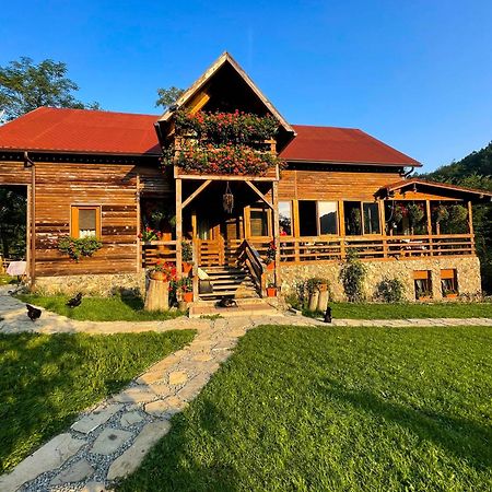Cabana La Domnu' De Pe Vale Villa Aiud Buitenkant foto