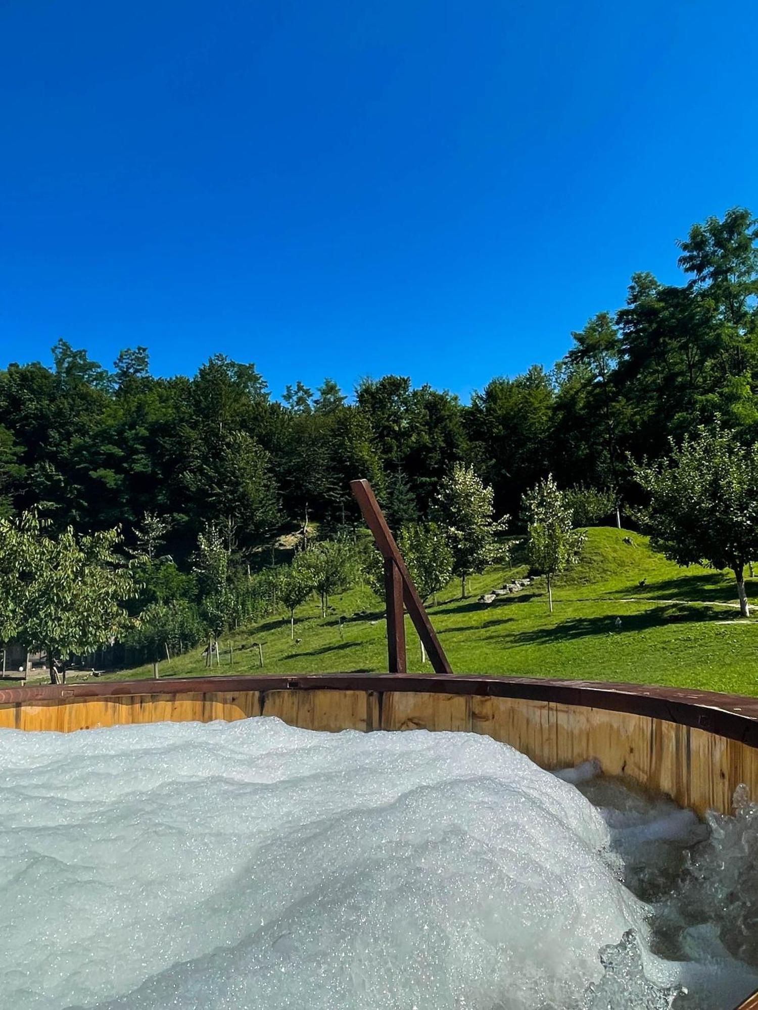 Cabana La Domnu' De Pe Vale Villa Aiud Buitenkant foto