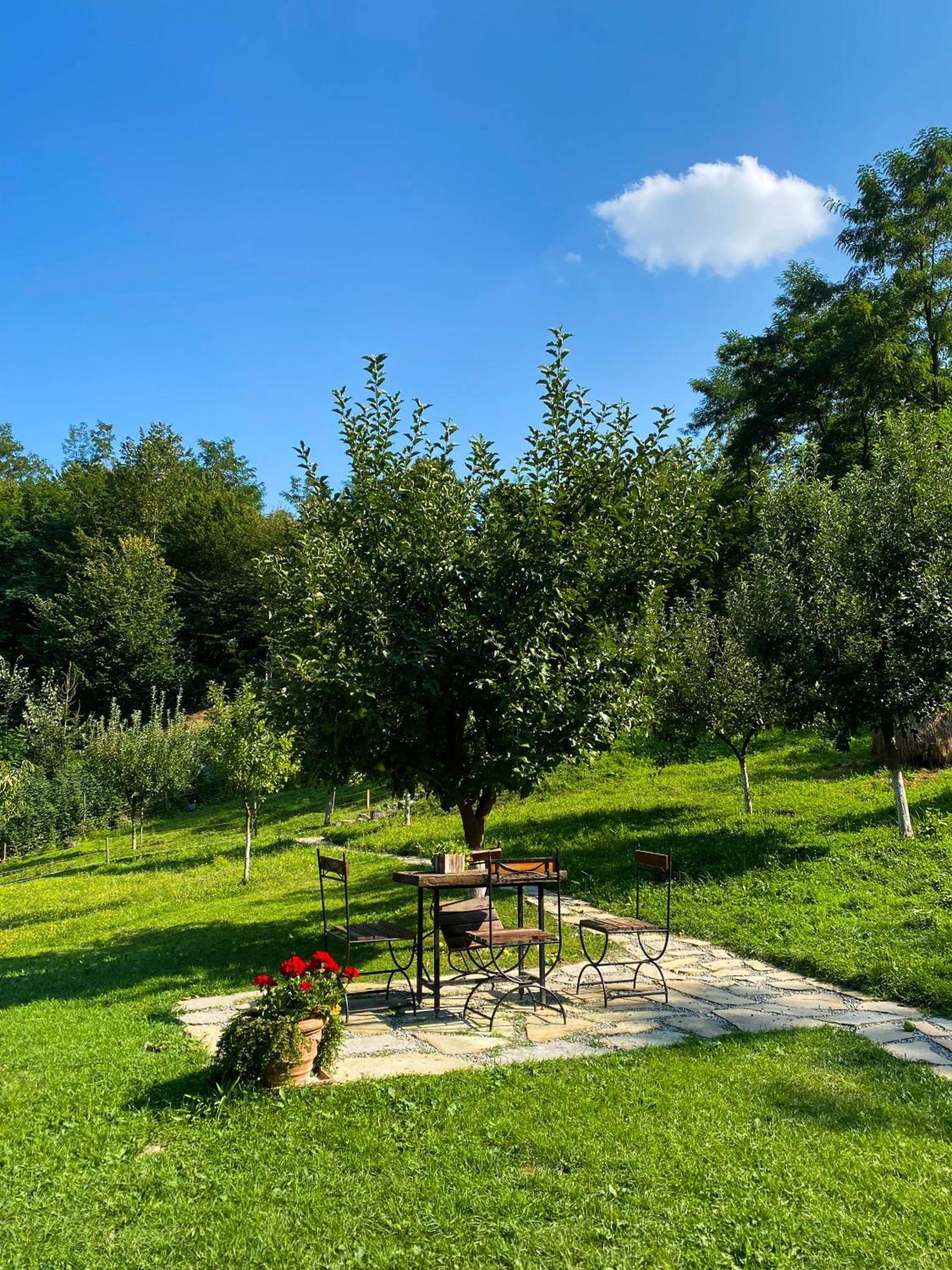 Cabana La Domnu' De Pe Vale Villa Aiud Buitenkant foto