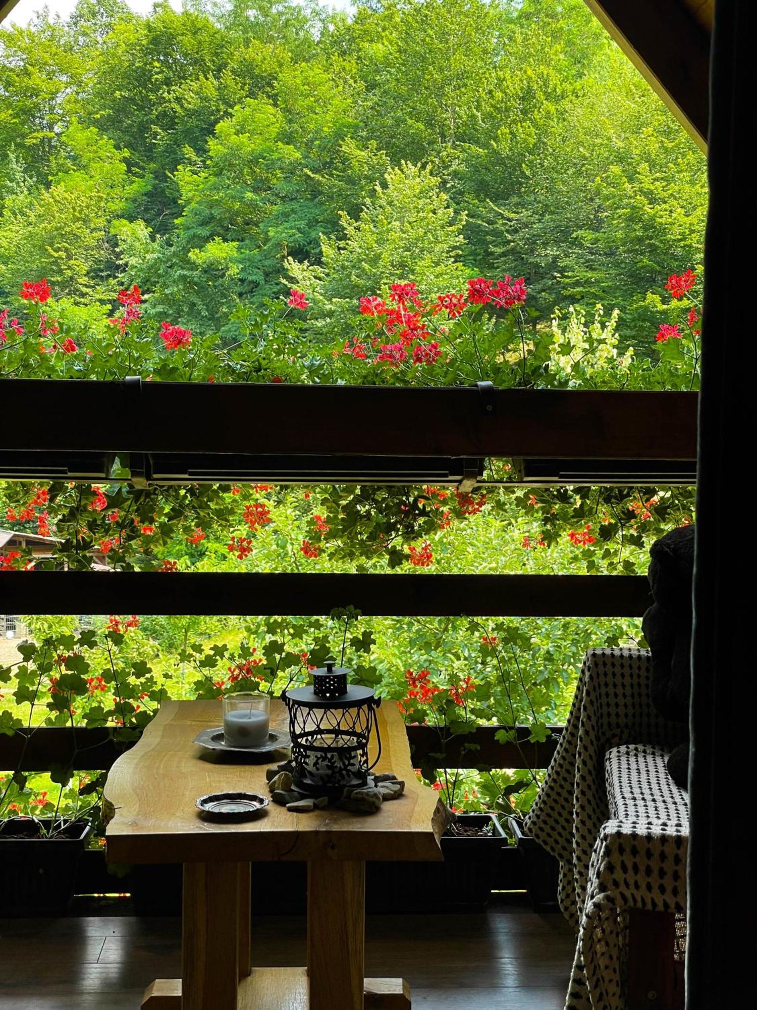 Cabana La Domnu' De Pe Vale Villa Aiud Buitenkant foto
